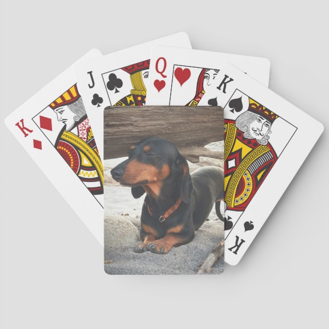 Yogahund Casinokort (Baksidan)