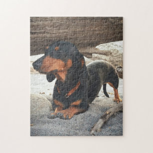 Yogahund Pussel