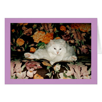 Yogakatt Hälsningskort