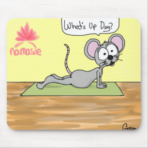 Yogamusen vadderar musmatta