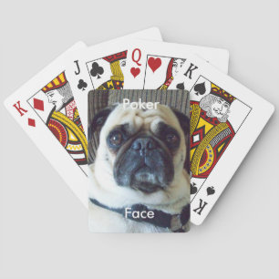 Yogi "pokeransikte" som leker kort spelkort