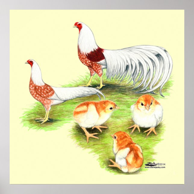 Yokohama Red Shoulder Family Poster (Framsidan)