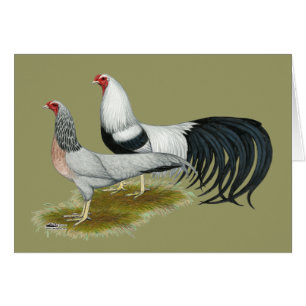 Yokohama: Silver Duckwing Pair Hälsningskort