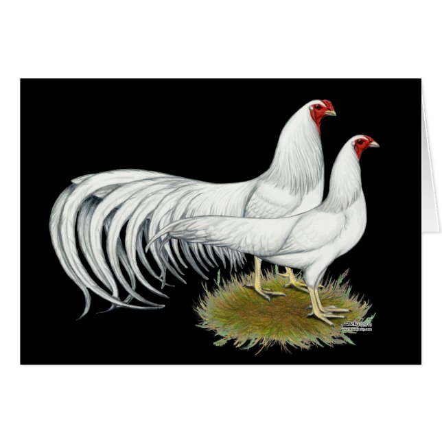 Yokohama: White Pair OBS Kort (Framsidan Horizontal)