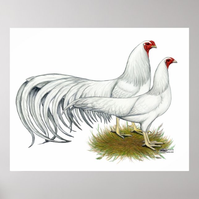 Yokohama: White Pair Poster (Framsidan)