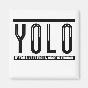 YOL MAGNET