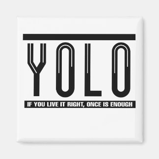 YOL MAGNET