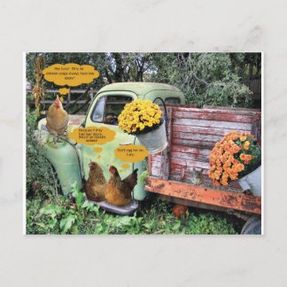 Yolkerna på dig! vykort