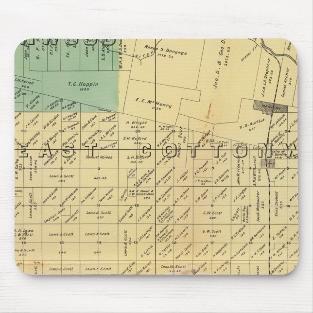 Yolo County 5 Musmatta (Framsidan)