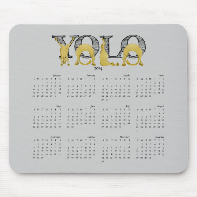 YOLO Flexibel grykalender 2014 Musmatta (Framsidan)