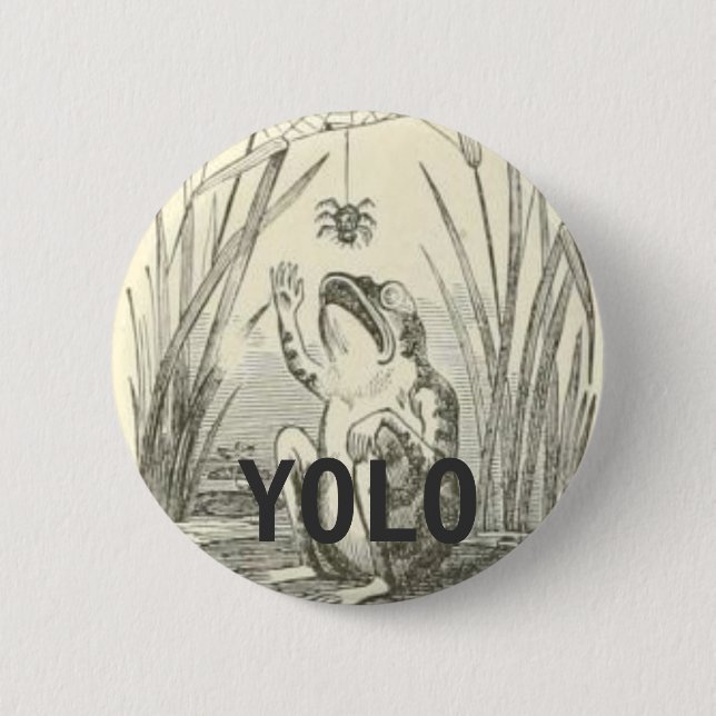 YOLO KNAPP (Framsida)