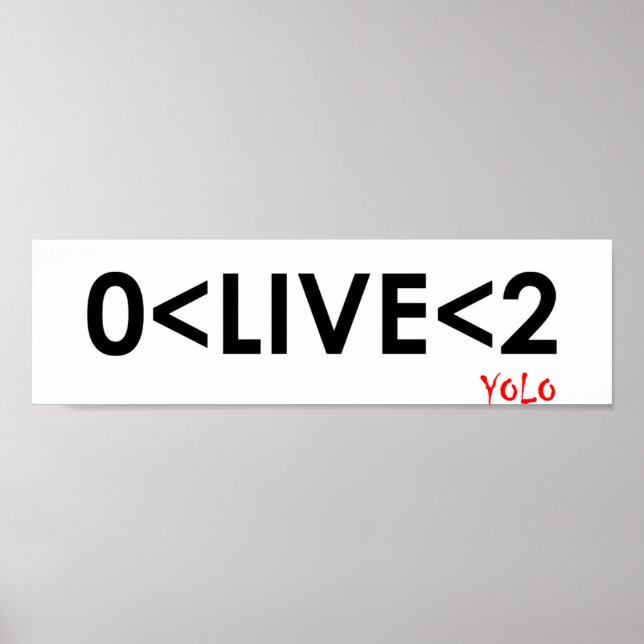 YOLO Math Funny Poster (Framsidan)