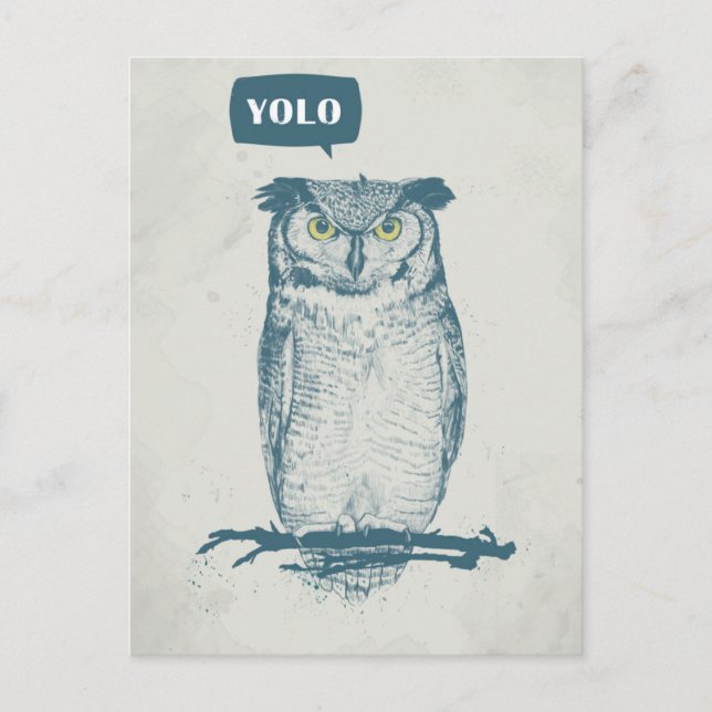 YOLO VYKORT (Framsida)