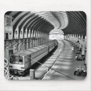 York järnväg station musmatta