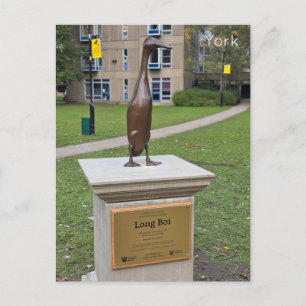 York Long Boi Vykort