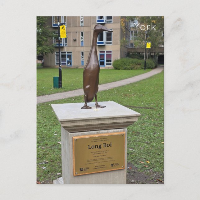 York Long Boi Vykort (Framsida)