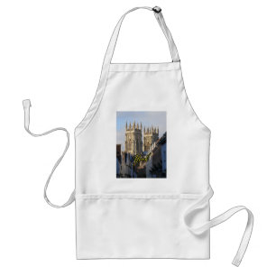 York Minster England Förkläde