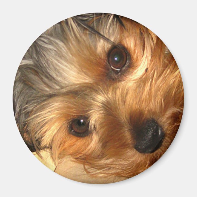 York Ögon Magnet (Framsidan)