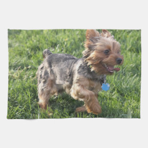 York Terrierkökshandduk Kökshandduk