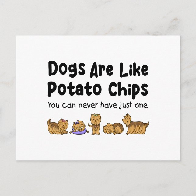 Yorki Hundar är som Potato Chip du aldrig kan. Vykort (Framsida)