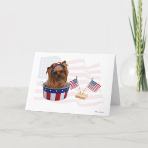 Yorkie 4th Juli Kort