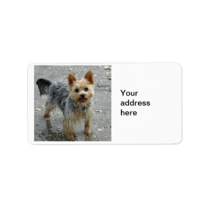 Yorkie Adressetikett