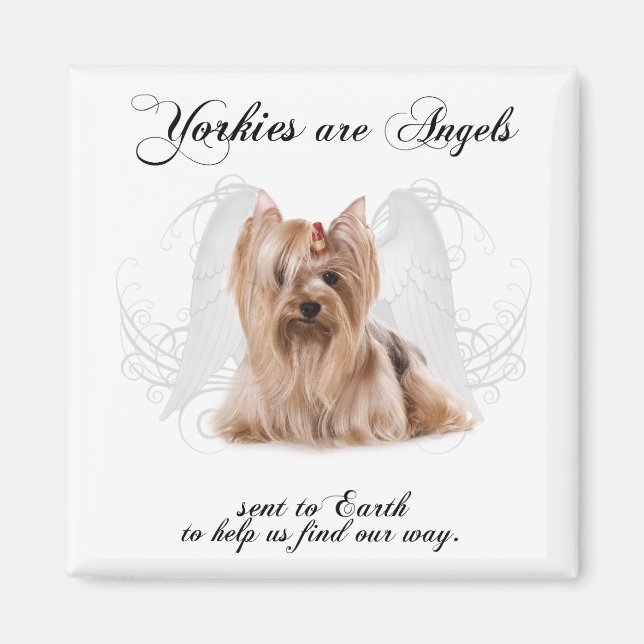 Yorkie Angel Magnet (Framsidan)