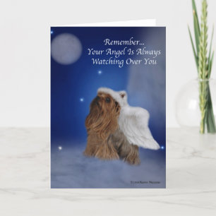 Yorkie Angel Star Kort
