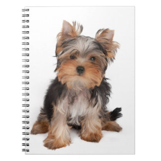 Yorkie Anteckningsbok