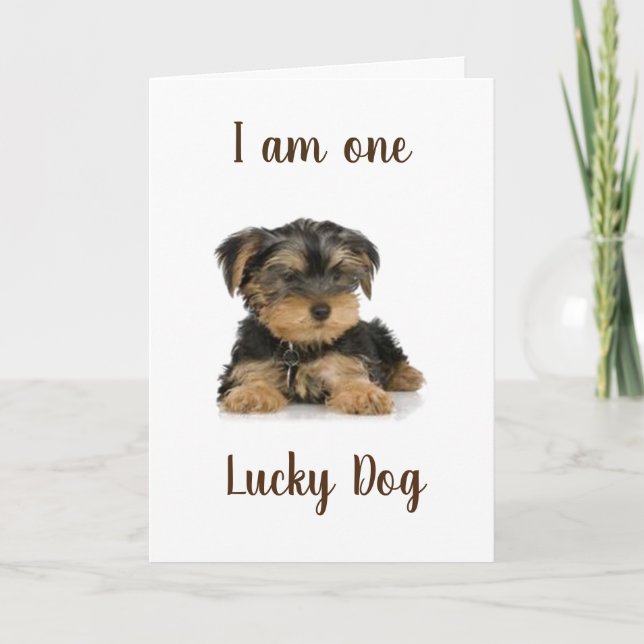 "YORKIE ÄR EN LUCKY HUND", BIRTHDAG ÖNSKEMÅL KORT (Framsida)
