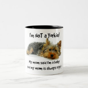 Yorkie Baby Mugg Yorkshire Terrier Morsa