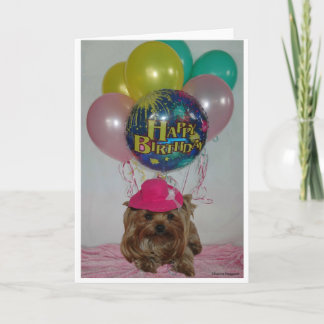 Yorkie Balloon Lycklig B-Day Kort