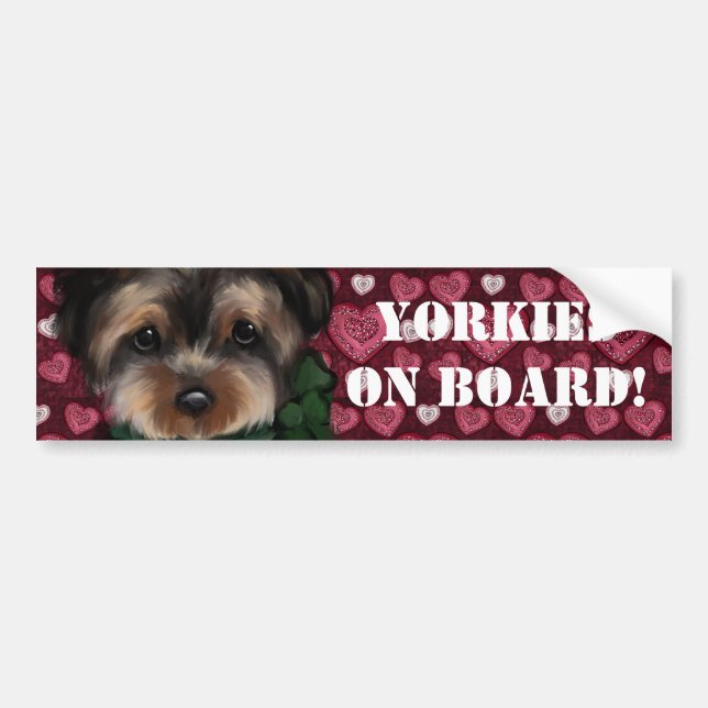 YORKIE BILDEKAL (Framsidan)