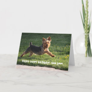 YORKIE BIRTHDAY KORT