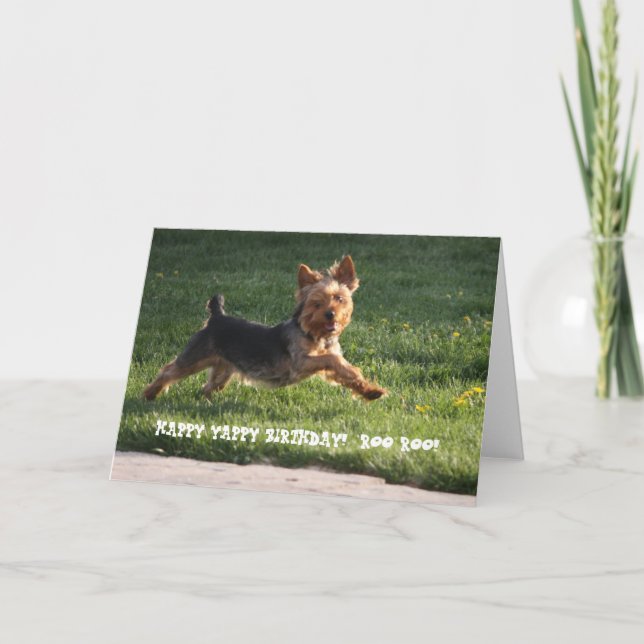 YORKIE BIRTHDAY KORT (Framsida)