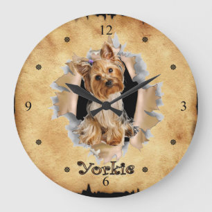 Yorkie bryter igenom Papprare Bag Clock! ~ Stor Klocka