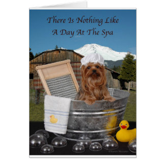 Yorkie Day i Spa Hälsningskort