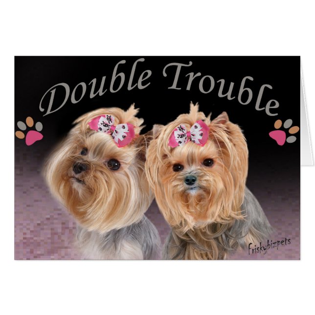 Yorkie Dubbla Trouble Cards OBS Kort (Framsidan Horizontal)