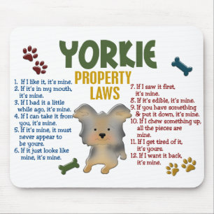 Yorkie egendomlagar 4 musmatta