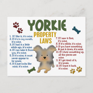 Yorkie Egendoms Lagar 4 Vykort