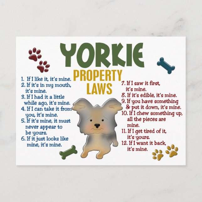Yorkie Egendoms Lagar 4 Vykort (Framsida)