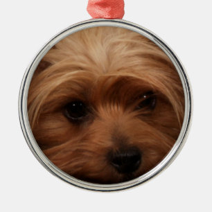 Yorkie eller Din Bild-jul i Hund Julgransprydnad Metall