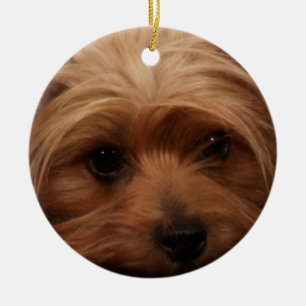 Yorkie eller Din Hund Bild Julgransprydnad Keramik
