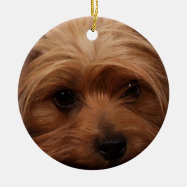 Yorkie eller Din Hund Bild Julgransprydnad Keramik (Framsidan)
