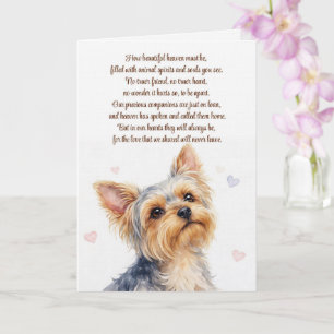 Yorkie eller Yorkshire Terrier hund sympati Kort