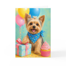 Yorkie Födelsedag Söt Yorkshire Terrier Födelsedag