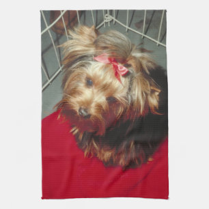 Yorkie för Yorkshire Terrier kökshandduk