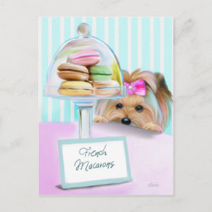 Yorkie Fransk Macarons Vykort