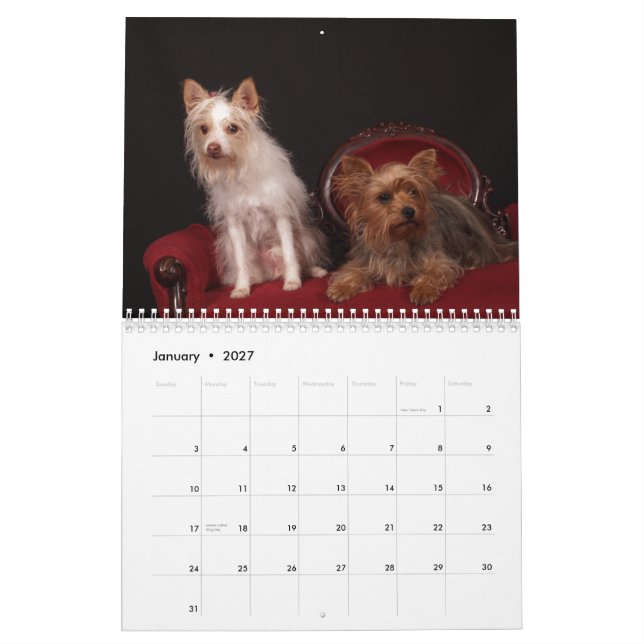 Yorkie Friends 2013 Calendar Kalender (Jan 2027)