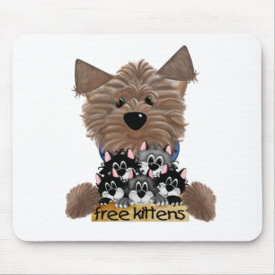 Yorkie frigör kattungar musmatta